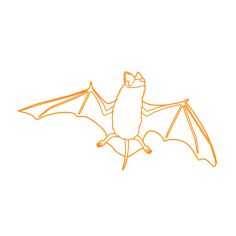 Animals Bats Mexican Free Tailed Bat Vinyl Svg File, Free Vectors File
